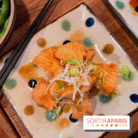 Jinchan Yokocho - Tranches de saumon frites