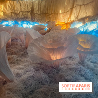 L'océan de Léa, l'exposition événement à la patinoire de Saint-Ouen - nos photos