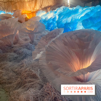 L'océan de Léa, l'exposition événement à la patinoire de Saint-Ouen - nos photos - image00043