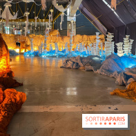 L'océan de Léa, l'exposition événement à la patinoire de Saint-Ouen - nos photos - image00028