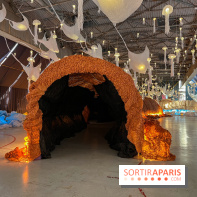 L'océan de Léa, l'exposition événement à la patinoire de Saint-Ouen - nos photos - image00013