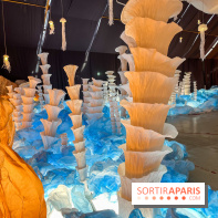 L'océan de Léa, l'exposition événement à la patinoire de Saint-Ouen - nos photos - image00005