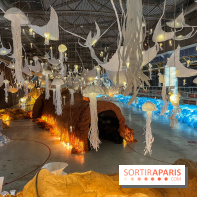 L'océan de Léa, l'exposition événement à la patinoire de Saint-Ouen - nos photos - image00007