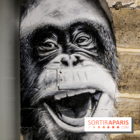 Street art : nos photos de la troisième édition de L’équipée à Paris