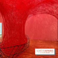 The Soul Trembles - IMG 7613