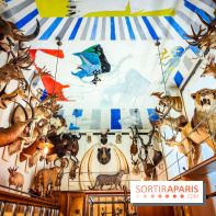 Musée de la chasse et de la nature - collections permanentes et visuels