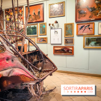 Musée de la chasse et de la nature - collections permanentes et visuels