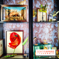 Musée de la chasse et de la nature - collections permanentes et visuels - IMG20241209153926