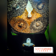 Musée de la chasse et de la nature - collections permanentes et visuels - IMG20241209151300