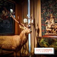 Musée de la chasse et de la nature - collections permanentes et visuels