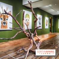 S'éclairer sans fin : l'exposition poétique d'Edi Dubien au musée de la Chasse et de la Nature - photos - IMG20241209153703