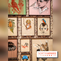 S'éclairer sans fin : l'exposition poétique d'Edi Dubien au musée de la Chasse et de la Nature - photos - IMG20241209145739