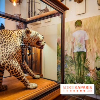 S'éclairer sans fin : l'exposition poétique d'Edi Dubien au musée de la Chasse et de la Nature - photos - IMG20241209152756