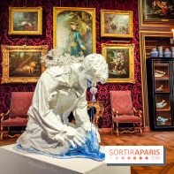 S'éclairer sans fin : l'exposition poétique d'Edi Dubien au musée de la Chasse et de la Nature - photos - IMG20241209150828