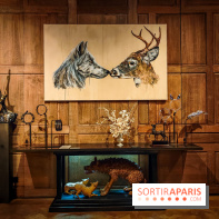 S'éclairer sans fin : l'exposition poétique d'Edi Dubien au musée de la Chasse et de la Nature - photos - IMG20241209151516