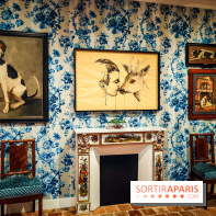 S'éclairer sans fin : l'exposition poétique d'Edi Dubien au musée de la Chasse et de la Nature - photos - IMG20241209153907