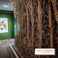 S'éclairer sans fin : l'exposition poétique d'Edi Dubien au musée de la Chasse et de la Nature - photos
