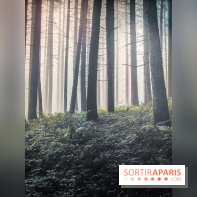 Silence : l'exposition immersive se dévoile à la Cité des Sciences et de l'Industrie - IMG20241210102205