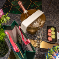 La magie de Wicked à l'Hôtel du Louvre, l'univers du Magicien d'Oz dans les suites Hyatt World Europe -  A7C8687