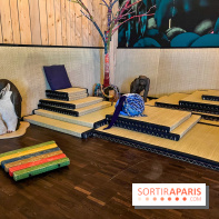 La Cité des Bébés réouvre - nos photos