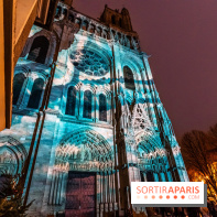 Lueurs de Mantes 2024, le parcours lumineux dans les Yvelines - photos -  A7C9178