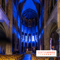 Lueurs de Mantes 2024, le parcours lumineux dans les Yvelines - photos