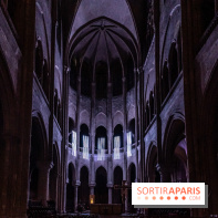 Lueurs de Mantes 2024, le parcours lumineux dans les Yvelines - photos -  A7C9193