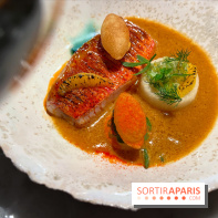 Virtus - Rouget à la flamme