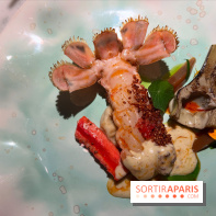 Virtus - Langoustine au sarrasin