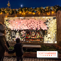 Le Marché de Noël de la Place de la Concorde à Paris -  A7C9426
