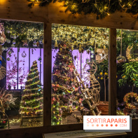 Le Marché de Noël de la Place de la Concorde à Paris -  A7C9452