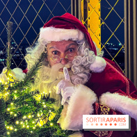 Noël 2024 à la tour Eiffel - image00030