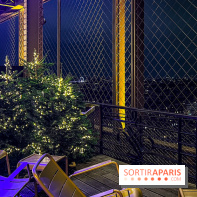 Noël 2024 à la tour Eiffel - image00046