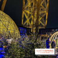 Noël 2024 à la tour Eiffel - image00052