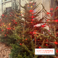 Bel Hiver Saint-Denis 2024 - nos photos - image00020