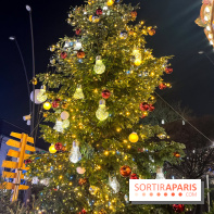 Bel Hiver Saint-Denis 2024 - nos photos - image00006