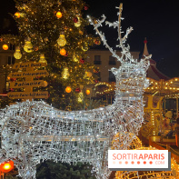 Bel Hiver Saint-Denis 2024 - nos photos