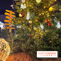 Bel Hiver Saint-Denis 2024 - nos photos - image00005