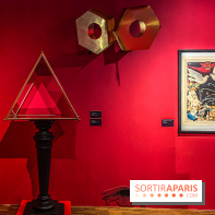 Exposition Magique ! au Musée de la Carte à jouer - IMG 2170