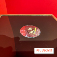 Exposition Magique ! au Musée de la Carte à jouer - IMG 2173