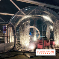 Bulle de rêves : la terrasse d'hiver du restaurant George au sommet du Centre Pompidou