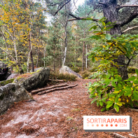 Les 25 bosses - photos - image00083