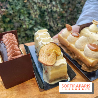 La Mauvaise Herbe - IMG 7982