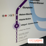 Gare Villejuif - Gustave Roussy, nos phoros