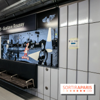Gare Villejuif - Gustave Roussy, nos phoros