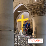 Notre-Dame de Paris - visuels - 2