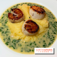 Magnolia - Saint-Jacques, purée