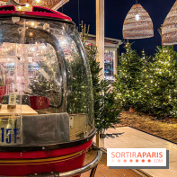 Polpo Nord 2024-2025, la terrasse d'hiver avec raclette et baguetiflette à Levallois - IMG 6097 jpg 2