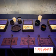 Cité Immersive Viking