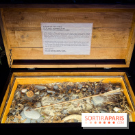 Cité Immersive Viking  - IMG 5274